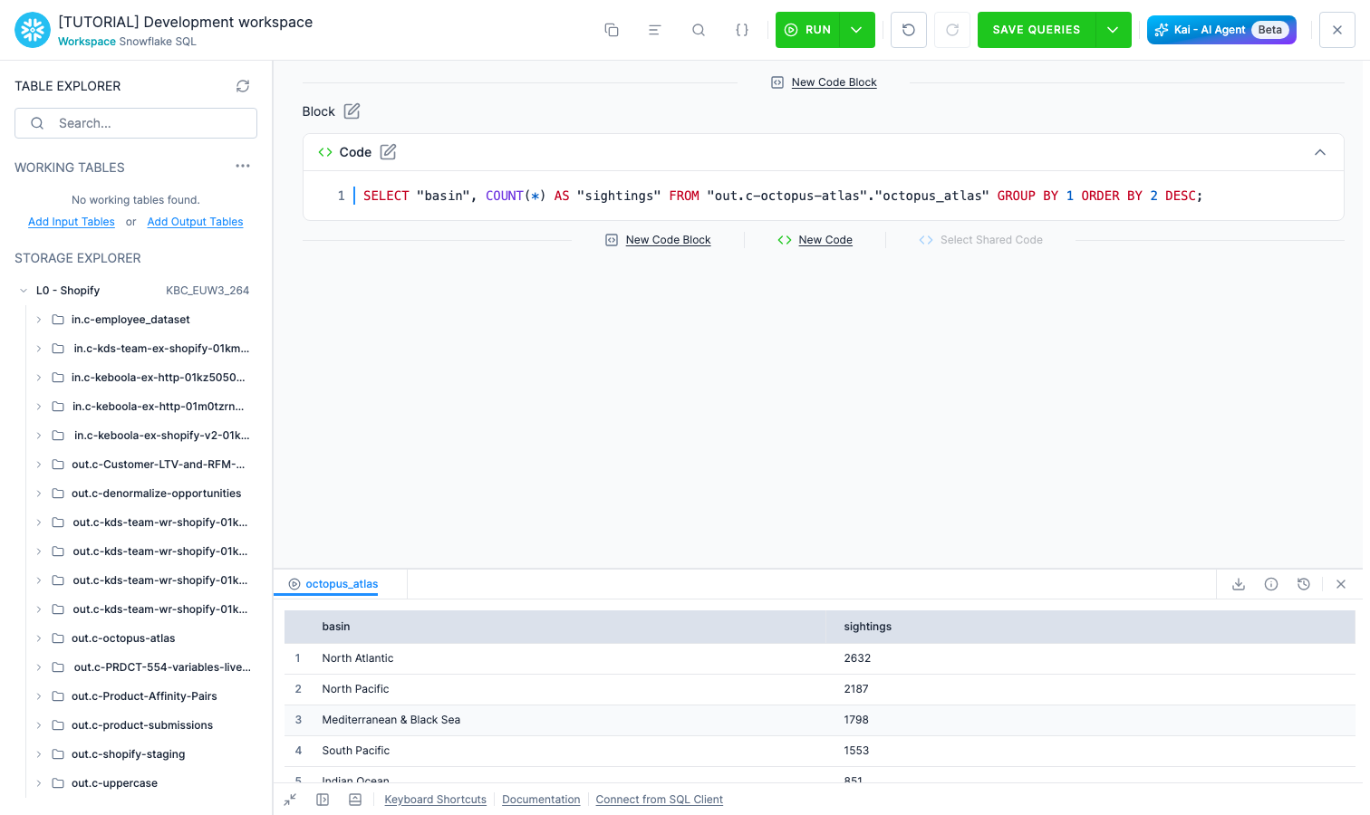 The SQL editor